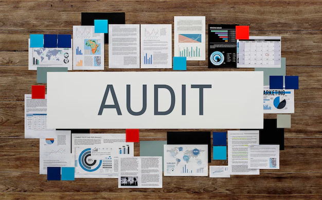 AUDIT